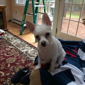 Meet your Posher, Jennifer